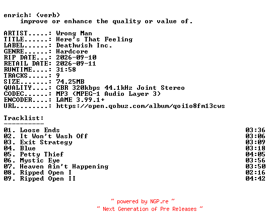 NFO for the release Wrong_Man-Heres_That_Feeling-WEB-2026-ENRiCH by ENRiCH