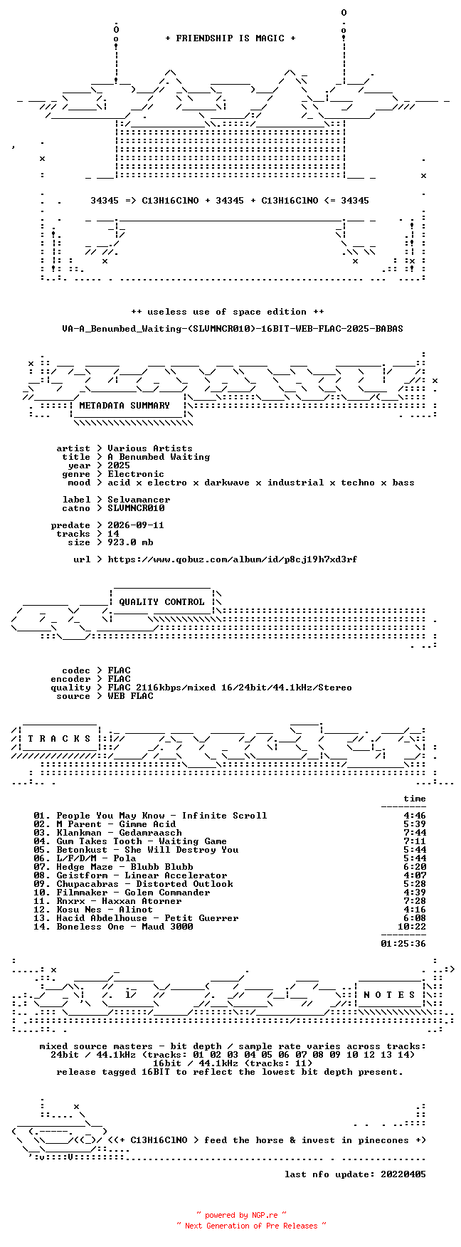 NFO for the release VA-A_Benumbed_Waiting-(SLVMNCR010)-16BIT-WEB-FLAC-2025-BABAS by BABAS