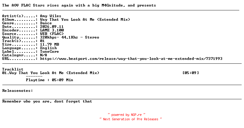 NFO for the release Amy_Wiles-Way_That_You_Look_At_Me_(Extended_Mix)-SINGLE-WEB-2026-AOV by AOV
