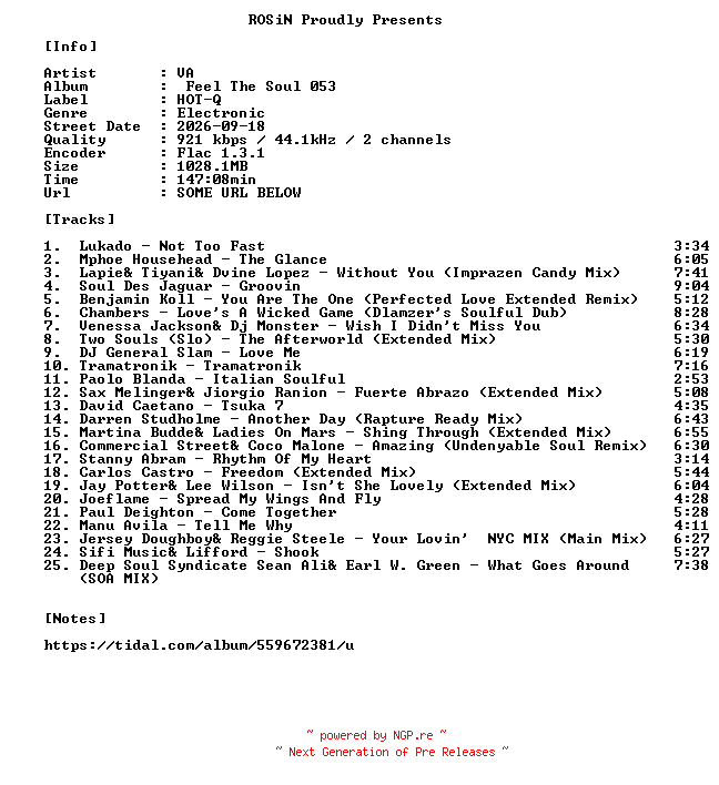 NFO for the release VA-Feel_The_Soul_053-16BIT-WEB-FLAC-2026-ROSiN by ROSiN