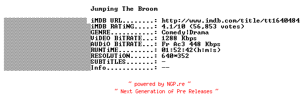 NFO for the release Jumping.The.Broom.FRENCH.BDRiP.XViD-THENiGHTMARE by THENiGHTMARE