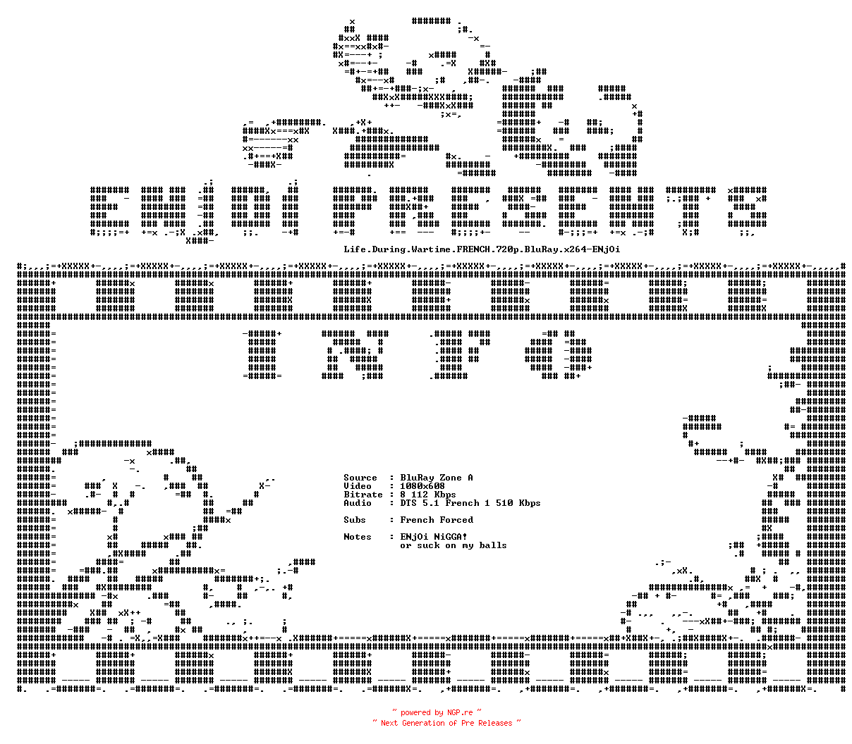 NFO for the release Life.During.Wartime.FRENCH.720p.BluRay.x264-ENjOi by ENjOi