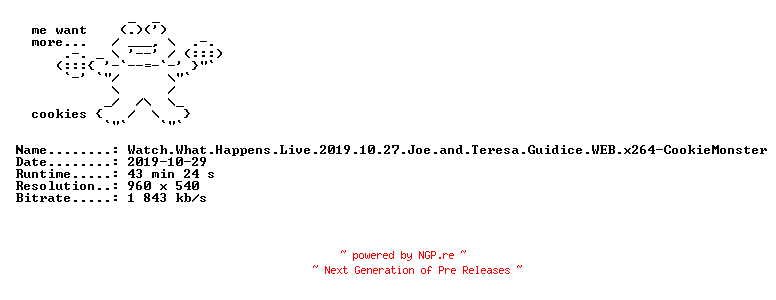 NFO for the release Watch.What.Happens.Live.2019.10.27.Joe.and.Teresa.Guidice.WEB.x264-CookieMonster by CookieMonster