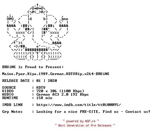 NFO for the release Maine.Pyar.Kiya.1989.German.HDTVRip.x264-BRUiNS by BRUiNS