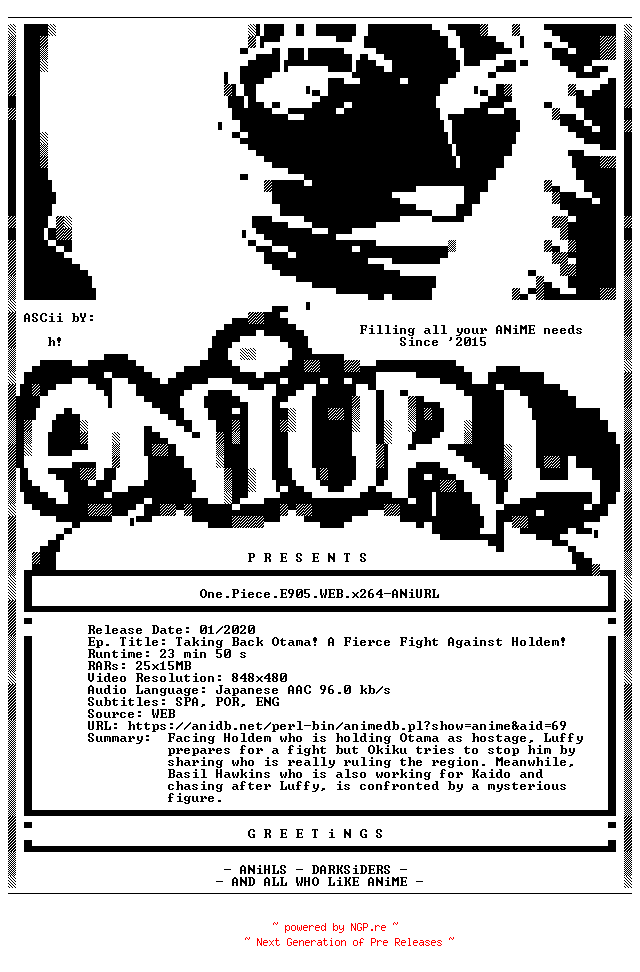 NFO for the release One.Piece.E905.WEB.x264-ANiURL by ANiURL