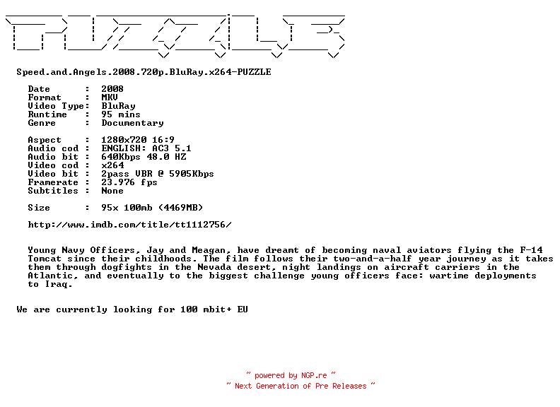 NFO for the release Speed.and.Angels.2008.720p.BluRay.x264-PUZZLE by PUZZLE