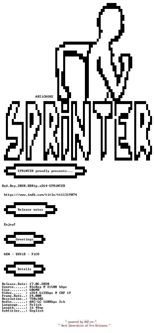 NFO for the release Bad.Boy.2020.BDRip.x264-SPRiNTER by SPRiNTER