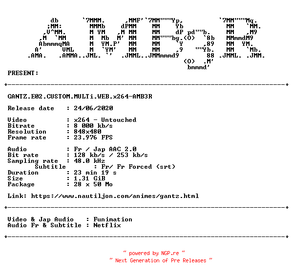NFO for the release GANTZ.E02.CUSTOM.MULTi.WEB.x264-AMB3R by AMB3R