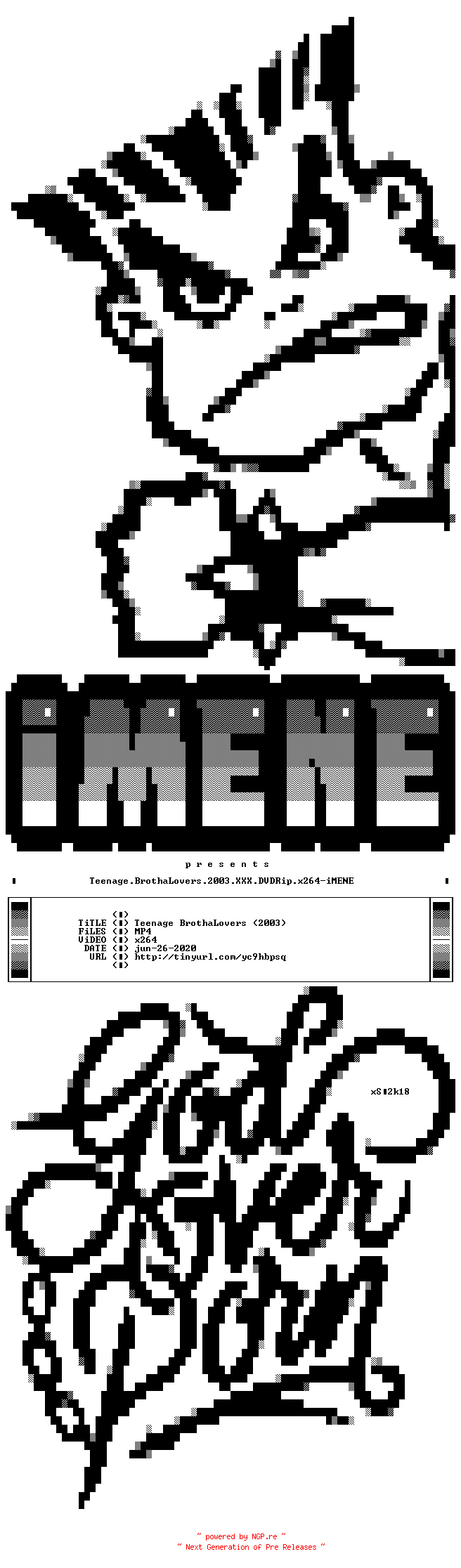 NFO for the release Teenage.BrothaLovers.2003.XXX.DVDRip.x264-iMENE by iMENE