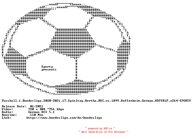 NFO for the release Fussball.1.Bundesliga.2020-2021.17.Spieltag.Hertha.BSC.vs.1899.Hoffenheim.German.HDTVRiP.x264-SPORTY by SPORTY