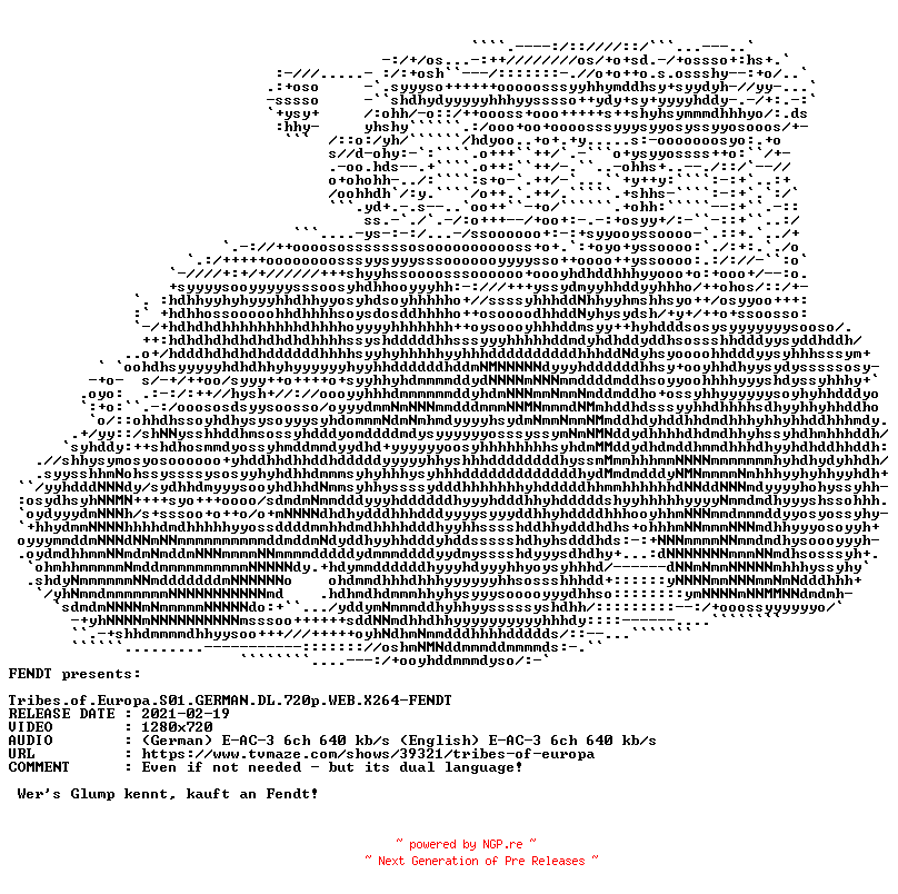 NFO for the release Tribes.of.Europa.S01.GERMAN.DL.720p.WEB.X264.DIRFIX-FENDT by FENDT