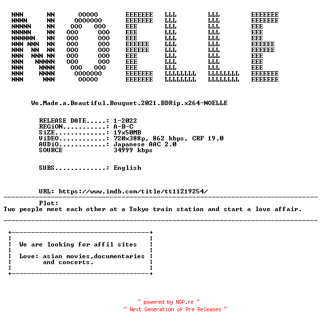 NFO for the release We.Made.a.Beautiful.Bouquet.2021.BDRip.x264-NOELLE by NOELLE