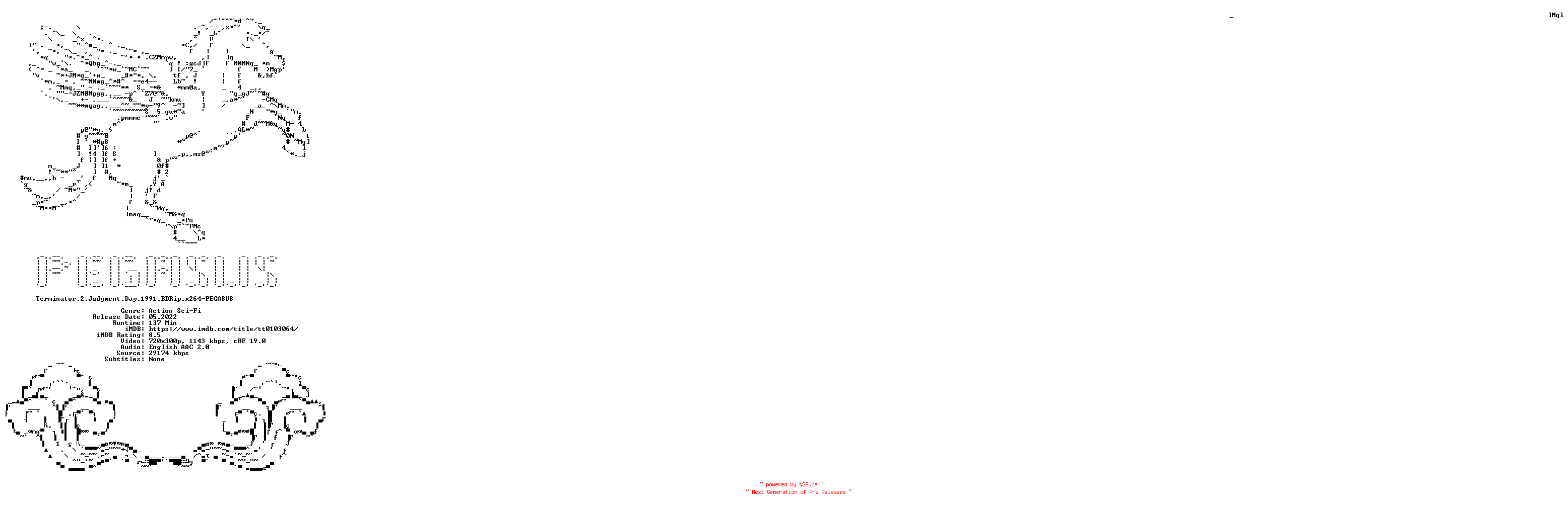NFO for the release Terminator.2.Judgment.Day.1991.iNTERNAL.BDRip.x264-PEGASUS by PEGASUS
