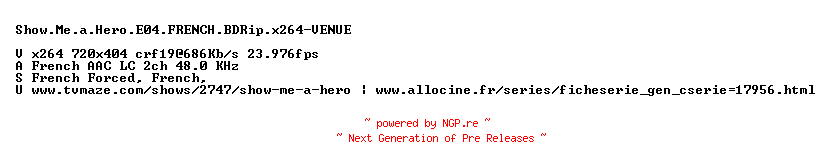 NFO for the release Show.Me.a.Hero.E04.FRENCH.BDRip.x264-VENUE by VENUE
