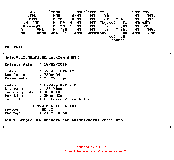 NFO for the release Noir.Vol2.MULTi.BDRip.x264-AMB3R by AMB3R