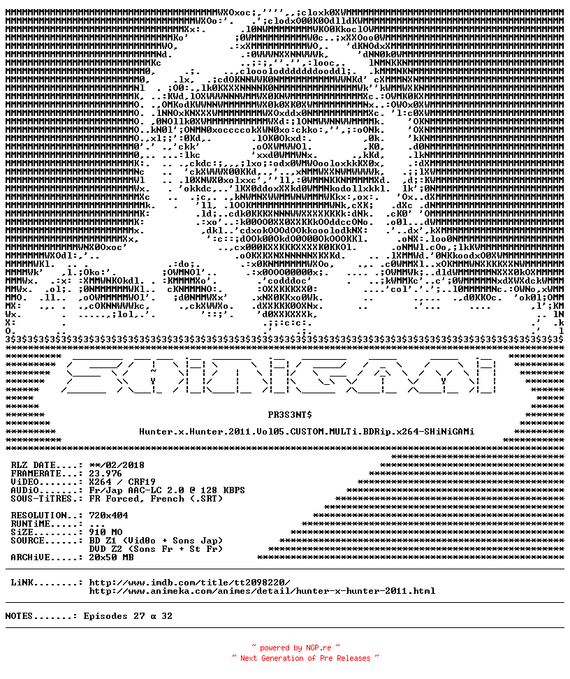 NFO for the release Hunter.x.Hunter.2011.Vol05.CUSTOM.MULTi.BDRip.x264-SHiNiGAMi by SHiNiGAMi