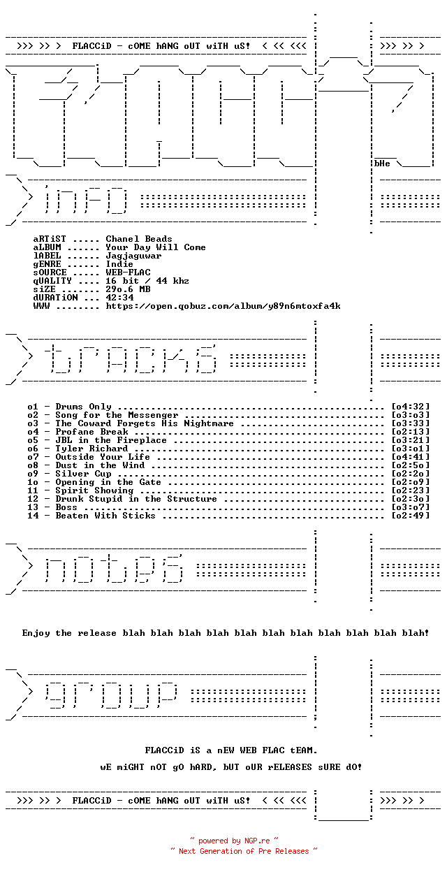 NFO for the release Chanel_Beads-Your_Day_Will_Come-16BIT-WEB-FLAC-2026-FLACCiD by FLACCiD