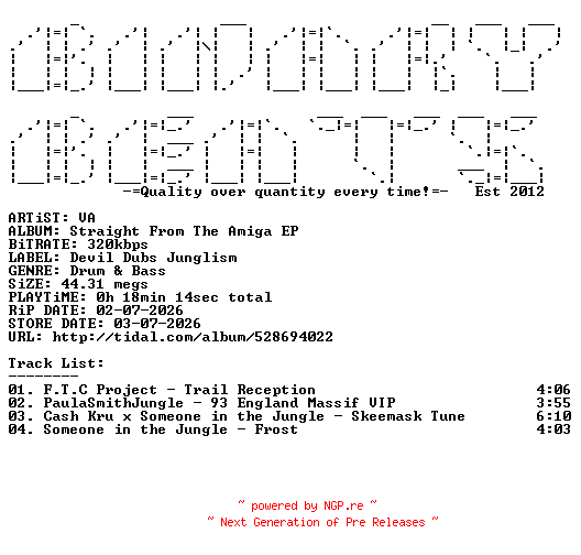 NFO for the release VA-Straight_From_The_Amiga_EP-(DVL009)-WEB-2026-BB by BB