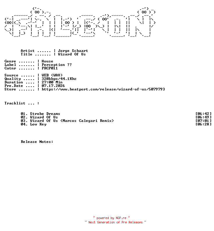 NFO for the release Jorge_Schaart-Wizard_Of_Us-(PRCP011)-WEB-2025-FALCON by FALCON