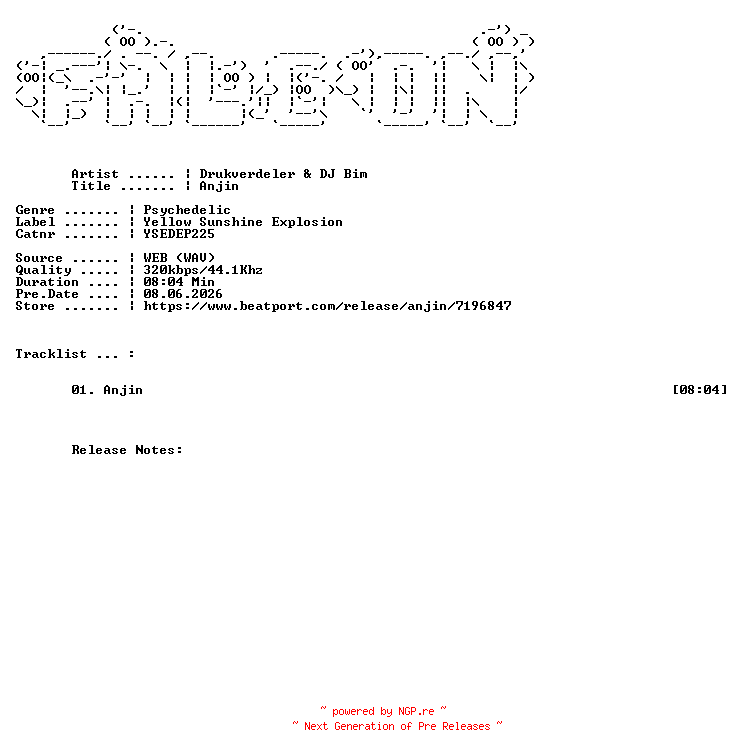 NFO for the release Drukverdeler_And_DJ_Bim-Anjin-(YSEDEP225)-SINGLE-WEB-2026-FALCON by FALCON