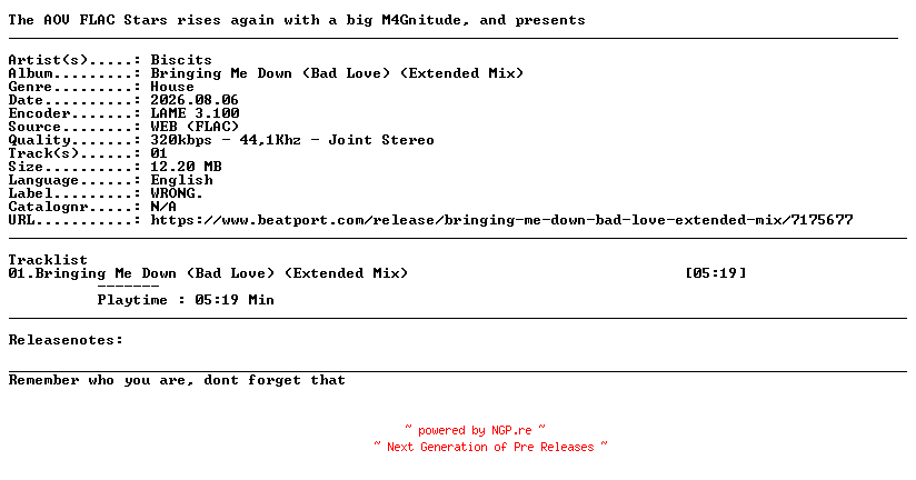 NFO for the release Biscits-Bringing_Me_Down_(Bad_Love)_(Extended_Mix)-SINGLE-WEB-2026-AOV by AOV