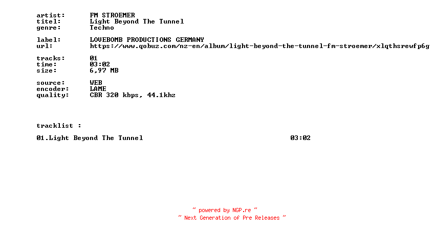 NFO for the release FM_STROEMER_-_Light_Beyond_The_Tunnel-SINGLE-WEB-2026-BITCOINS by BITCOINS