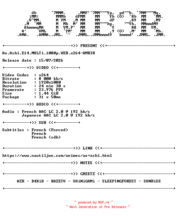 NFO for the release Ao.Ashi.E14.MULTi.1080p.WEB.x264-AMB3R by AMB3R