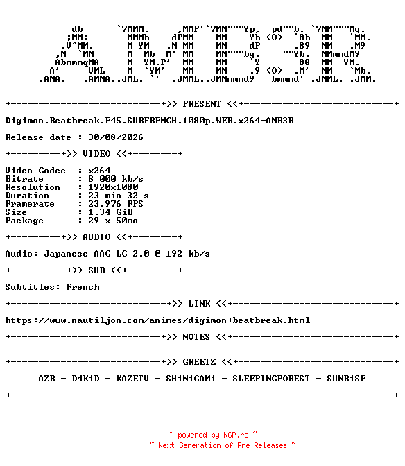 NFO for the release Digimon.Beatbreak.E45.SUBFRENCH.1080p.WEB.x264-AMB3R by AMB3R