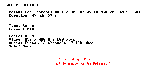 NFO for the release Maroni.Les.Fantomes.Du.Fleuve.S02E05.FRENCH.WEB.H264-BAWLS by BAWLS
