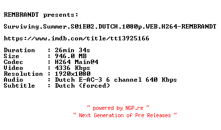 NFO for the release Surviving.Summer.S01E02.DUTCH.1080p.WEB.H264-REMBRANDT by REMBRANDT