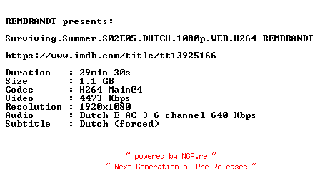 NFO for the release Surviving.Summer.S02E05.DUTCH.1080p.WEB.H264-REMBRANDT by REMBRANDT