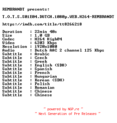 NFO for the release T.O.T.S.S01E04.DUTCH.1080p.WEB.H264-REMBRANDT by REMBRANDT