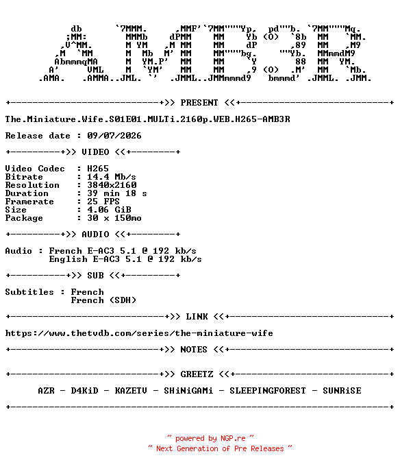 NFO for the release The.Miniature.Wife.S01E01.MULTi.2160p.WEB.H265-AMB3R by AMB3R