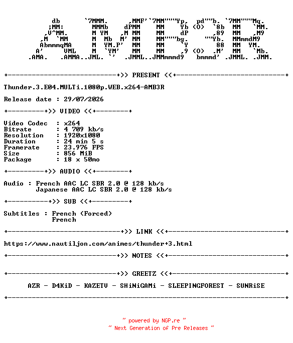 NFO for the release Thunder.3.E04.MULTi.1080p.WEB.x264-AMB3R by AMB3R