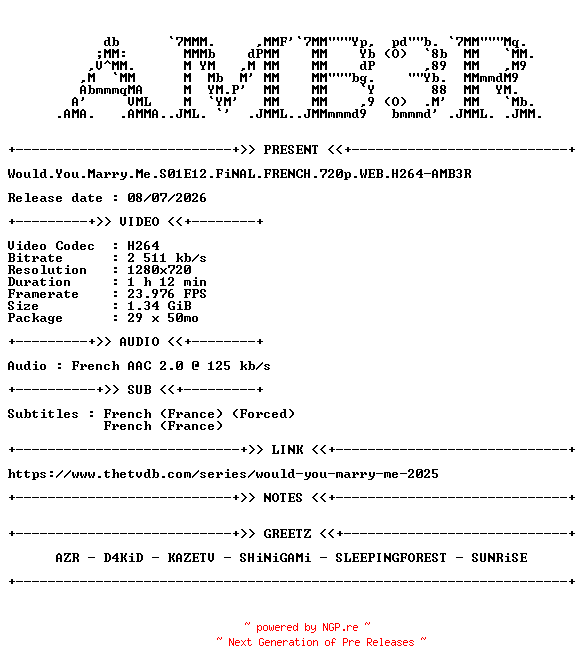 NFO for the release Would.You.Marry.Me.S01E12.FiNAL.FRENCH.720p.WEB.H264-AMB3R by AMB3R