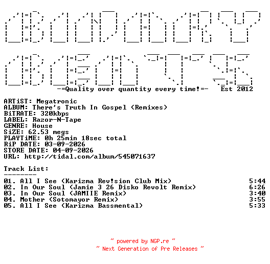 NFO for the release Megatronic-Theres_Truth_In_Gospel_(Remixes)-(RNTD137)-WEB-2026-BB by BB