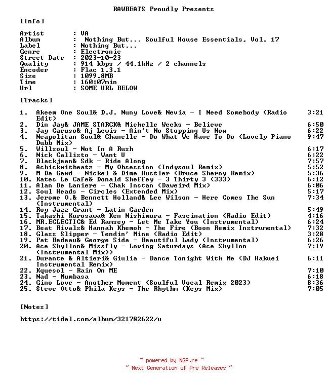 NFO for the release VA-Nothing_But..._Soulful_House_Essentials_Vol._17-16BIT-WEB-FLAC-2023-RAWBEATS by RAWBEATS