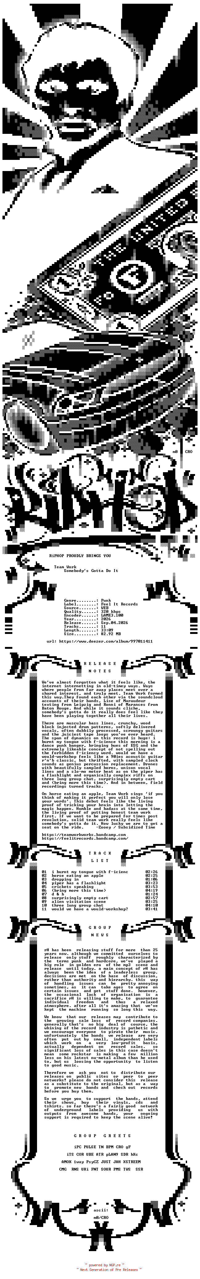 NFO for the release Team_Work-Somebodys_Gotta_Do_It-WEB-2026-rH_iNT by rH_iNT