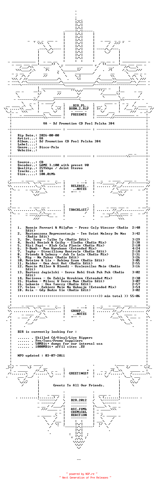 NFO for the release VA-DJ_Promotion_CD_Pool_Polska_384-PL-2025-B2RPL by B2RPL