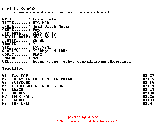 NFO for the release Transviolet-BIG_MAD-16BIT-WEB-FLAC-2026-ENRiCH by ENRiCH