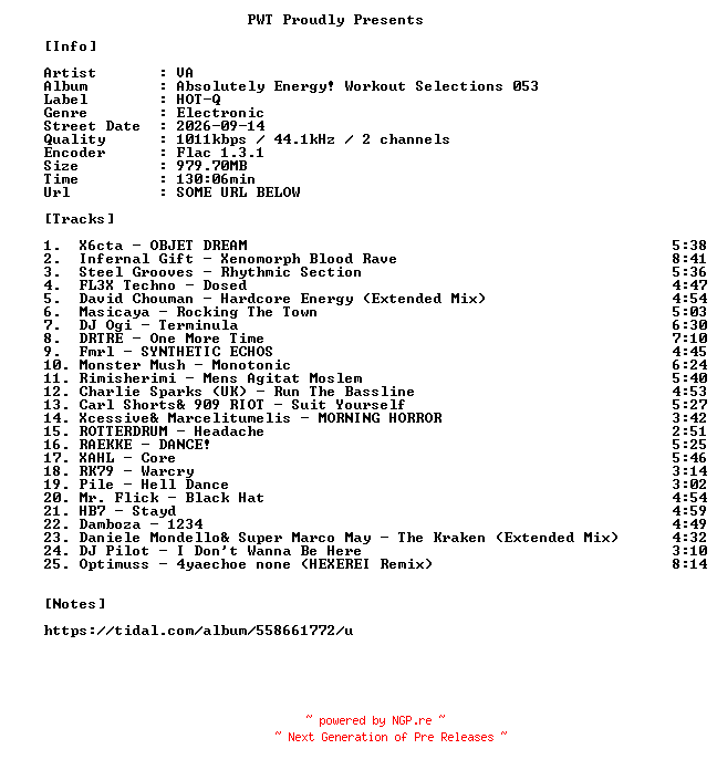 NFO for the release VA-Absolutely_Energy_Workout_Selections_053-16BIT-WEB-FLAC-2026-PWT by PWT