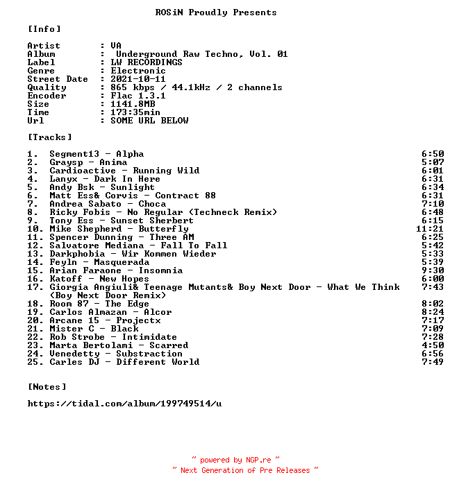 NFO for the release VA-Underground_Raw_Techno_Vol._01-16BIT-WEB-FLAC-2021-ROSiN by ROSiN