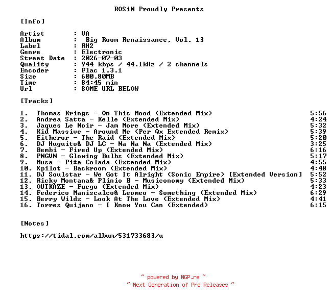 NFO for the release VA-Big_Room_Renaissance_Vol._13-16BIT-WEB-FLAC-2026-ROSiN by ROSiN