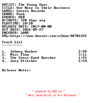 NFO for the release The_Young_Ones-Our_Nose_In_Their_Business-WEB-2017-SDR by SDR