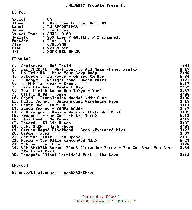 NFO for the release VA-Big_Room_Energy_Vol._09-16BIT-WEB-FLAC-2026-RAWBEATS by RAWBEATS