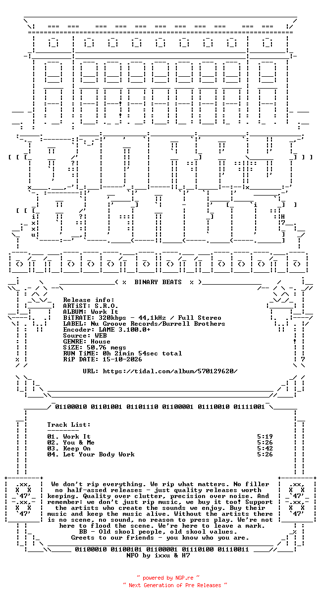 NFO for the release S.R.O.-Work_It-(NG180D)-WEB-1993-BB by BB
