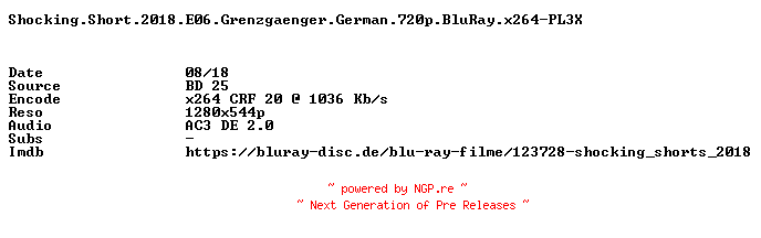 NFO for the release Shocking.Short.2018.E06.Grenzgaenger.German.720p.BluRay.x264-PL3X by PL3X