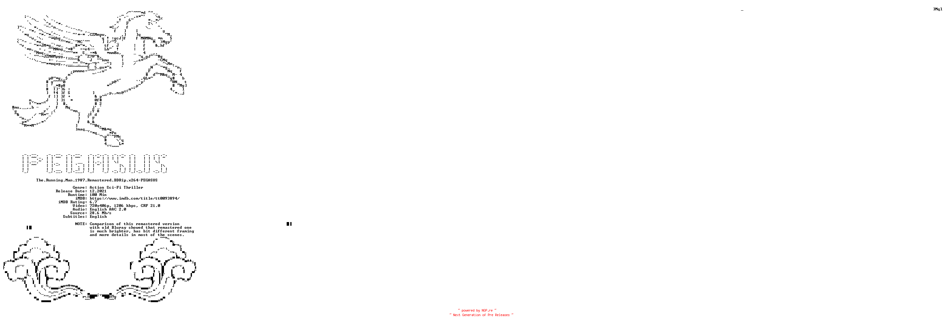 NFO for the release The.Running.Man.1987.Remastered.BDRip.x264-PEGASUS by PEGASUS