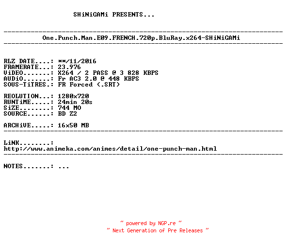 NFO for the release One.Punch.Man.E09.FRENCH.720p.BluRay.x264-SHiNiGAMi by SHiNiGAMi