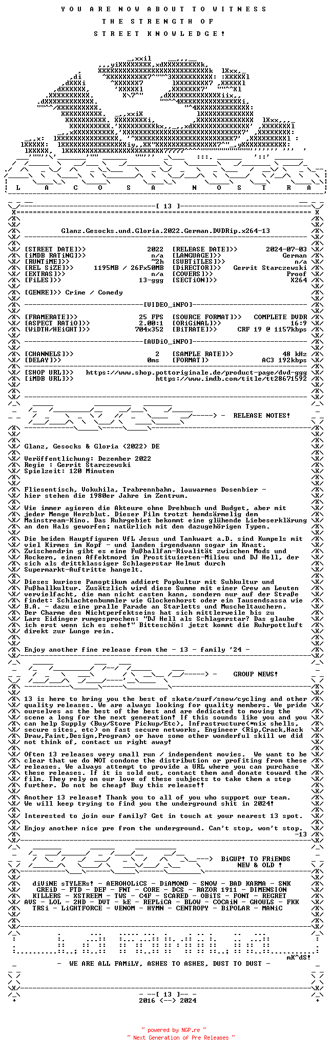 NFO for the release Glanz.Gesocks.und.Gloria.2022.German.DVDRip.x264-13 by 13